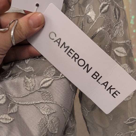 Elegant Silver Lace Long Sleeve Dress - Picture 4 of 11